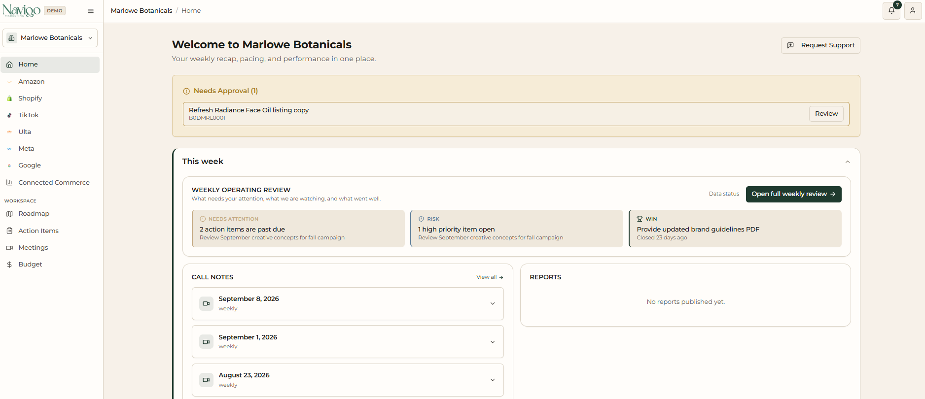 Navi home view with open action items, recent meeting notes, and status of urgent client tasks.